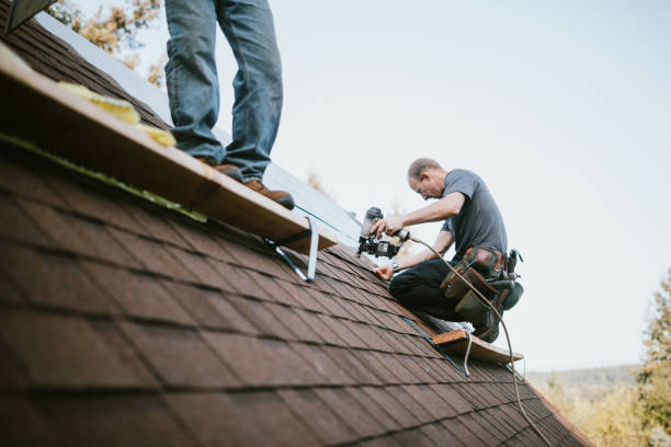 Quick and Trustworthy Emergency Roof Repair Services in Pine Canyon, CA